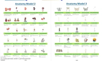 Anatomical Training Materials